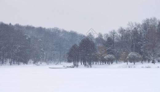 季节下雪的冬公园冰冻池塘降雪图片