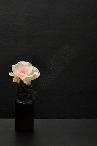 黑色的背景白玫瑰孤立于黑底粉色的花图片