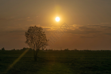 云俄罗斯美丽春晚日落时橙色光环的亮白太阳盘背景图片