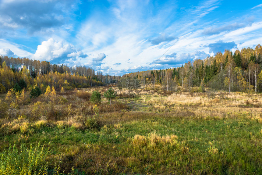 天空落下叶子10月在Kostroma地区的明亮金秋天图片