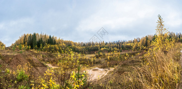 美丽的10月在Kostroma地区的明亮金秋天科斯特罗马景观图片