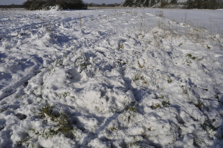 布列塔尼雪下的田地在面冬天法国图片