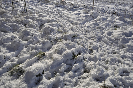 布列塔尼雪下的田地白色场农业图片