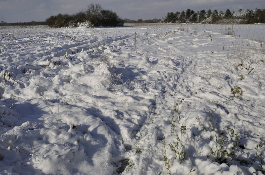 字段自然冬天布列塔尼雪下的田地图片