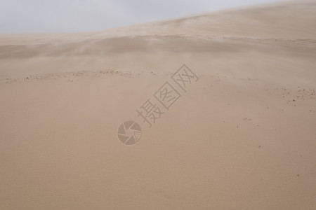 沙漠沙丘背景图片
