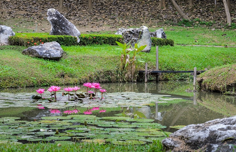 百合公园亚洲花园装饰图片