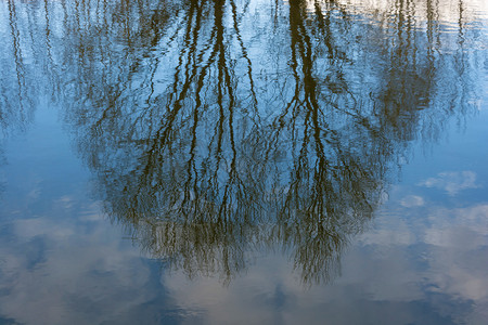 黑色的河流蓝镜面表树木的美丽抽象反射图画像环境户外图片