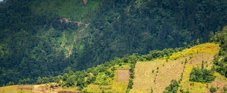 危地马拉的山坡耕种以混杂形式在陡峭的山脊上耕种美丽的农业山腰图片