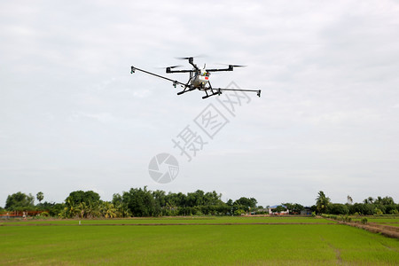 偏僻的草地创新概念飞行无人驾驶机空中无人驾驶飞机用于农业工图片