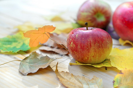 秋天的苹果背景图片