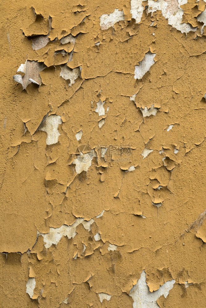 有质感的在爱沙尼亚塔林市一座废弃地产的墙上涂旧剥皮料老的破裂图片