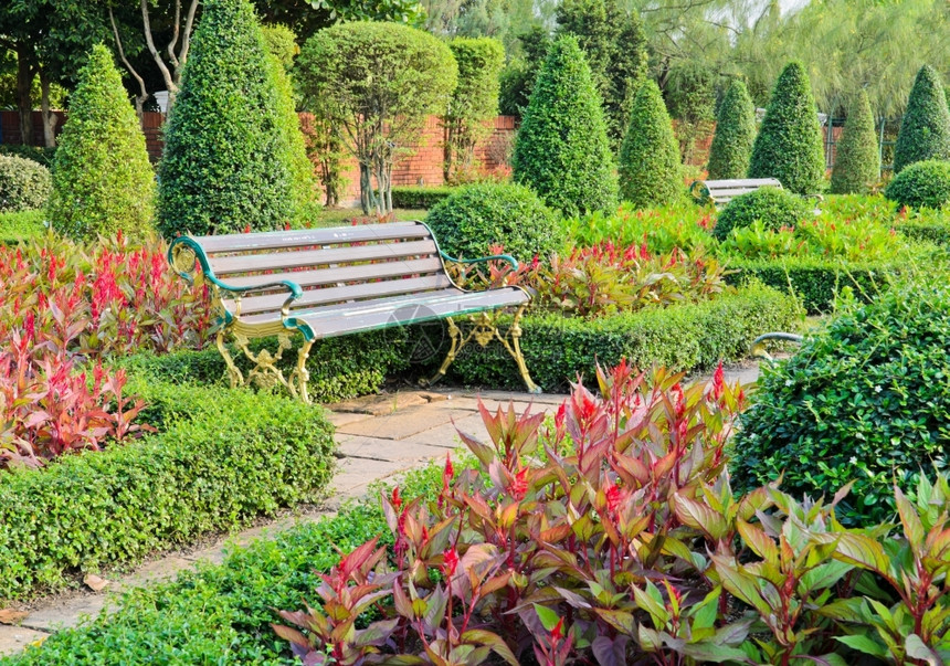 银杏自然装饰花园的座椅羽状图片