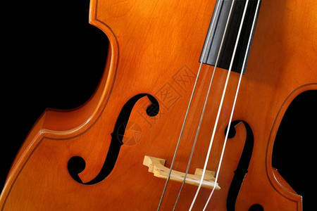 黑色背景的小提琴图片
