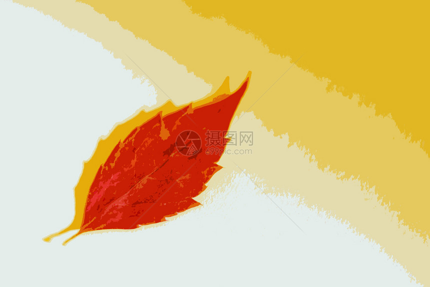 秋天的红树叶图片