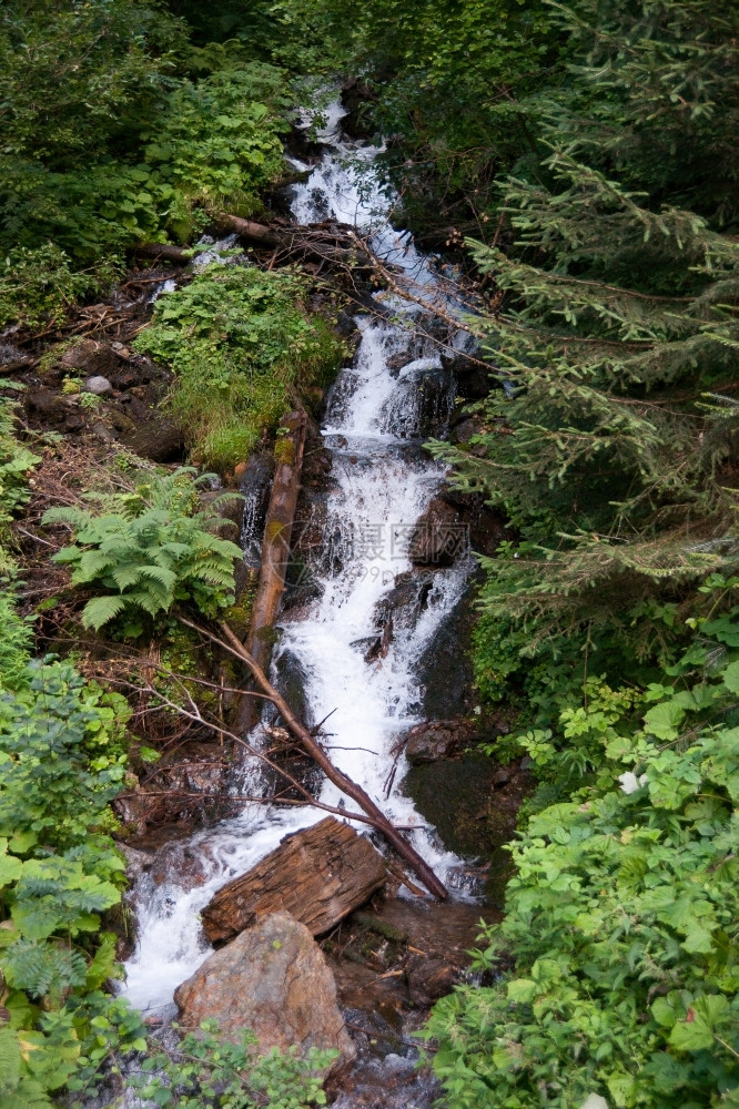 自然高山法国阿尔卑斯的瀑布在森林中吸引远足旅游图片