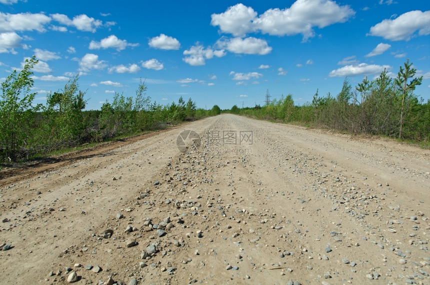 俄罗斯阿尔汉格克森林地区道路距离的俄罗斯乡村景观沥青夏天树图片