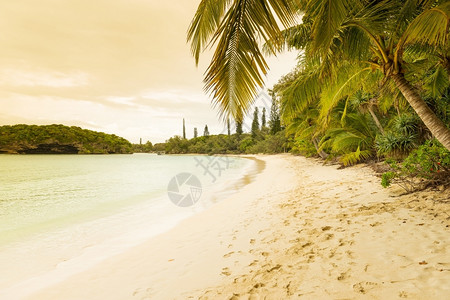 宁静南太平洋佩因斯岛流行旅游景点南太平洋海滩冷静的图片