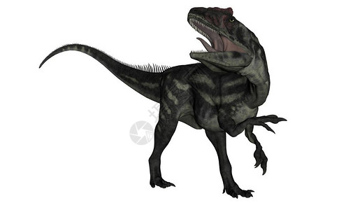 不再恐同野生动物阿龙恐在白色背景中被孤立地咆哮3D化同龙恐咆哮3D化和D使成为异特龙设计图片