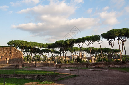 罗马古老的废墟遗址论坛旅游体育馆图片