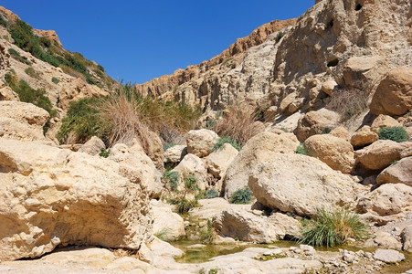 沿岸干旱岩石悬崖图片