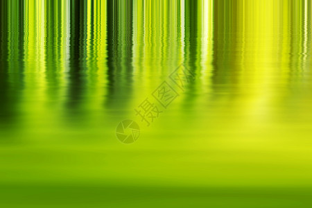 对比阴影和光绿色背景摘要阳光树叶背景图片