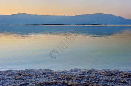 死海的盐水图片