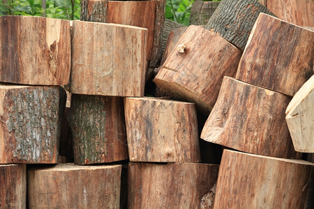 日志乡村的自然树干被锯成碎片木柴图片