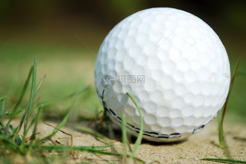 圆圈玩高尔夫球部分隐藏在绿色的外面极浅深地高尔夫球焦点非常图片