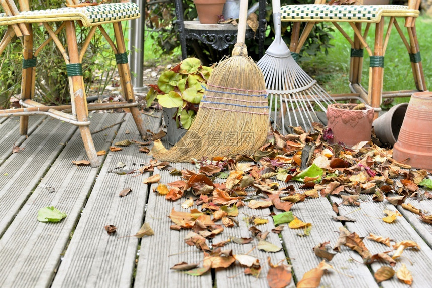 甲板椅子工具秋天在木阳台上的树叶图片