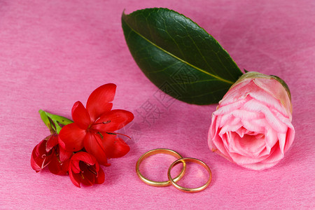 婚礼两枚结戒指和朵红花庆祝华伦人节爱天图片