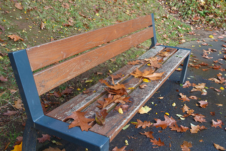 秋天长椅凳上的落叶图片