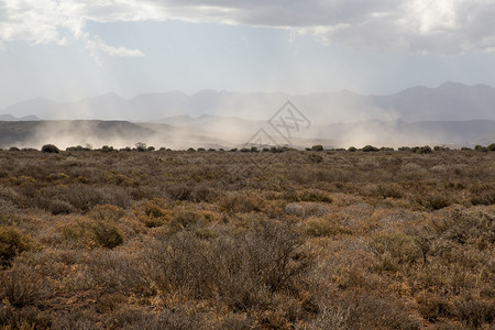 污垢力量沙暴非洲干草原上的风沙图片