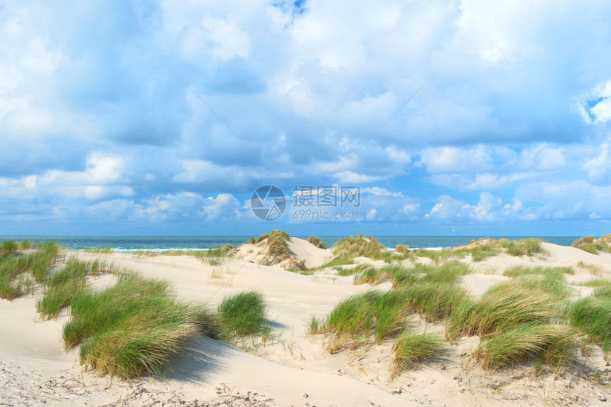 草荷兰岛Terschelling空海滩上的景观沙丘夏天假期图片