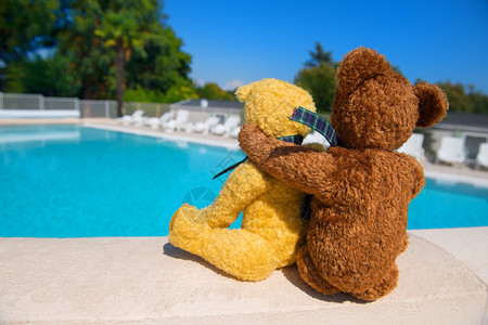 户外奢华两只玩具熊在游泳池的墙壁上相爱水图片