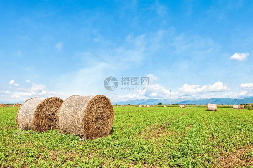 干燥在收获的田地和蓝天空中环干草圈云层笼罩着大地全景蓝色的纳达林图片