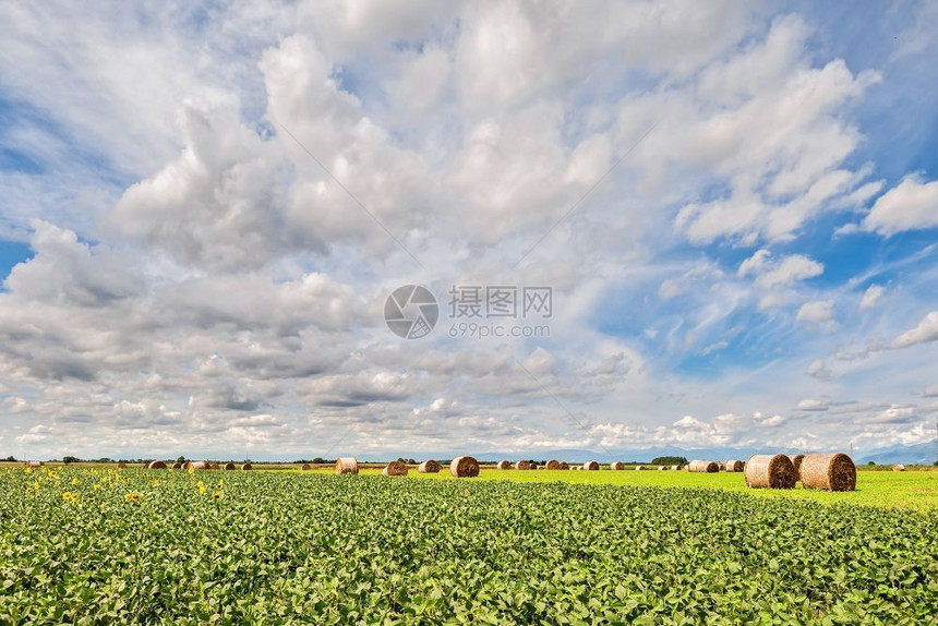 农业在收获的田地和蓝天空中环干草圈云层笼罩着大地全景草垛场图片