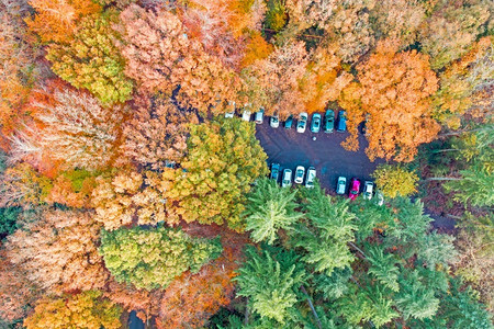 秋季森林里的停车场图片