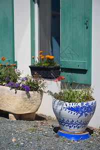 蓝色的户外细节门花园在房子前面的锅里图片