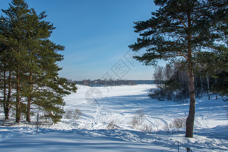 美丽的冬季风景桑尼日有雪覆盖的河流和松树冬天俄罗斯下雪的图片