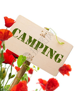 露营标志木板绿色植物和图像在白色背景的露营标志上被孤立公告新鲜的地球图片