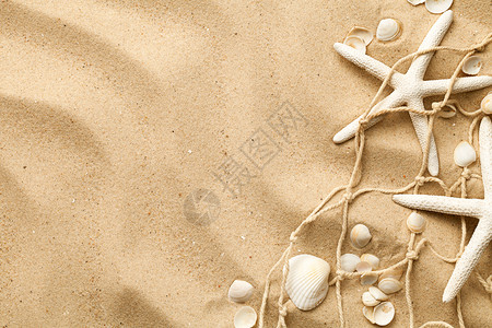 沙子上的贝壳背景图片