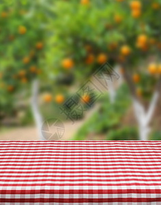 产品照片模板红桌布橙木林背景绿色春夜的幻想展示质地户外图片