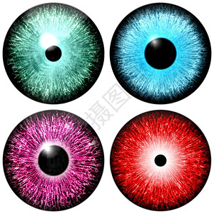 绿翅目人类一组四只插图眼睛红蓝紫绿抽象的目设计图片