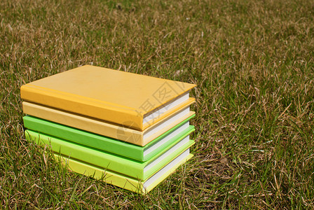 精装一堆书躺在草地上生动克拉夫琴科图片