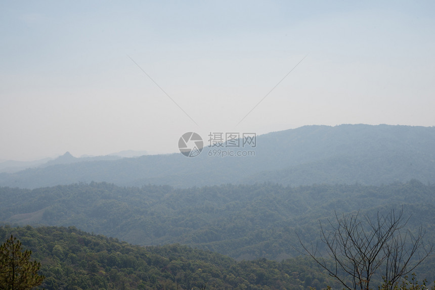 带有薄雾的夏季山顶图片