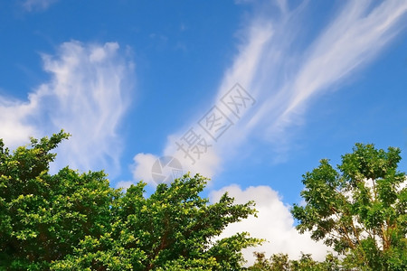 多云的季节明亮蓝天空云彩幕背景抽象图片
