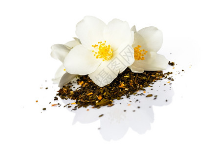 草本植物茉莉花与干茶在白色背景传统的叶子图片