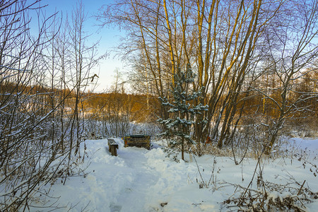 雪上帝晚神之圣母像的来源冬季夜晚的意外欢乐俄罗斯伊万诺沃地区Komsomolsky区Marshavo村马沙沃背景图片