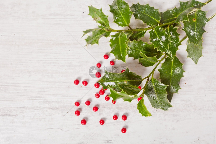 问候假期典型的霍利和红浆果用于圣诞节时间装饰绿色图片