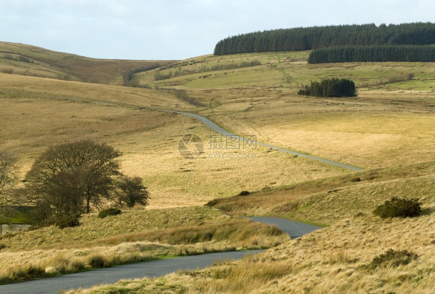 威尔士中部MynyddEpynt的狭窄乡村公路B4519丘陵荒地景观图片